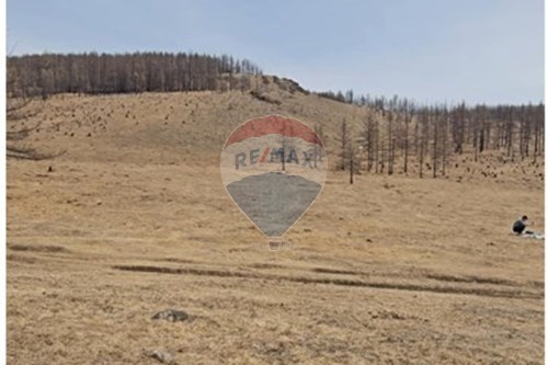 Худалдах-Газар-Баянзүрх, Монгол-119083003-5