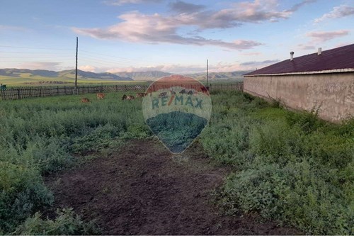 For Sale-Land-Batsumber, Mongolia-119050080-176