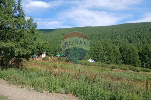 Худалдах-Газар-Сүхбаатар, Монгол-119005001-58