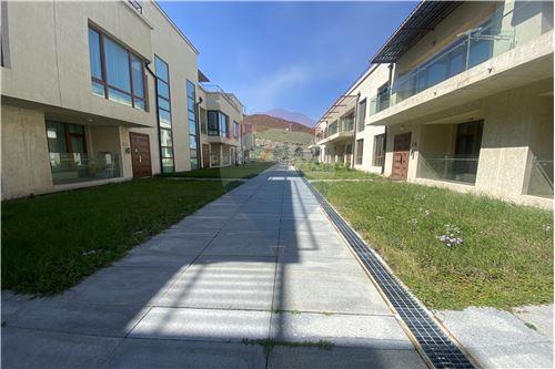 For Rent/Lease-Townhouse-Хийморь хаус хотхон  - Khan-Uul, Mongolia-119048055-336