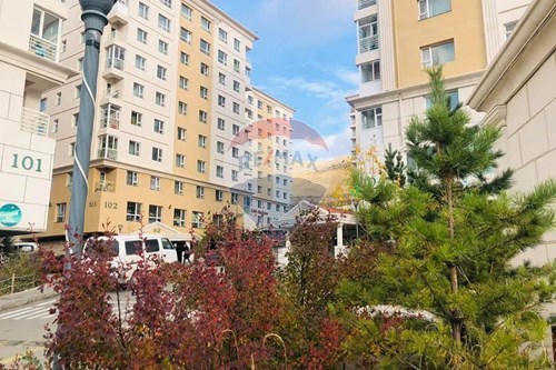 For Sale-Condo/Apartment-33 Энхжин  - Khan-Uul, Mongolia-119035052-12