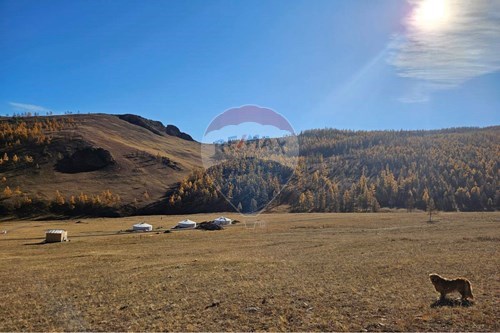 For Sale-Land-Erdene, Mongolia-119020120-235