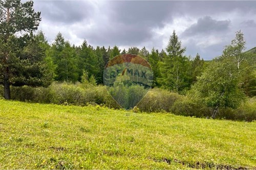 For Sale-Land-Songinokhairkhan, Mongolia-119072010-478
