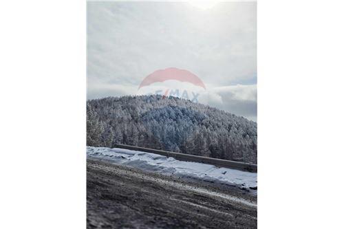 For Sale-Land-Songinokhairkhan, Mongolia-119014005-521