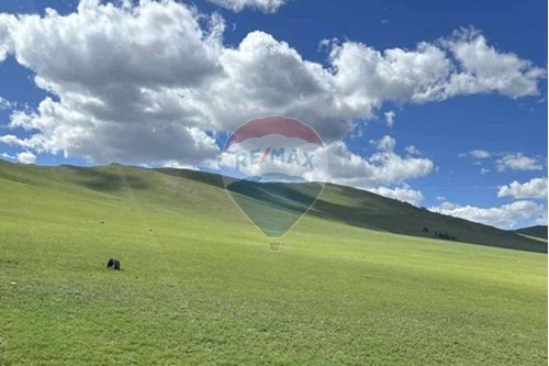 For Sale-Land-Songinokhairkhan, Mongolia-119052008-237