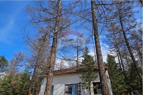 For Sale-Bungalow-Санзай  - Sukhbaatar, Mongolia-119009241-547
