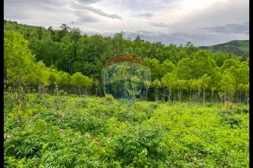 For Sale-Land-Bayanchandmani, Mongolia-119012197-172
