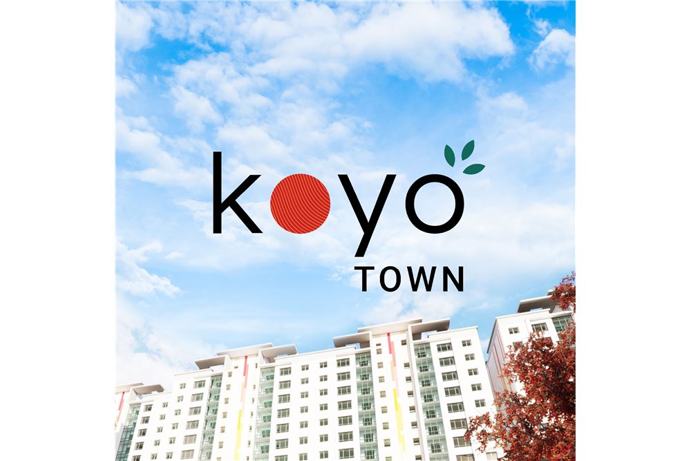 Koyo town,Улаанбаатар,Монгол улс, Development Detail