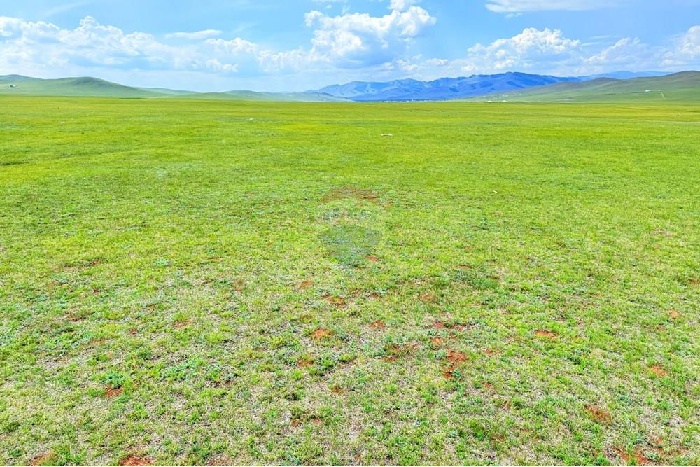 Comercial - Terrenos - Сонгинохайрхан, Монгол - MN - IMG_1228.jpeg - 119012317-77