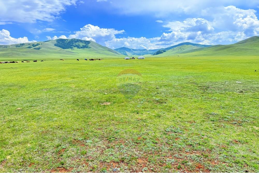 Comercial - Terrenos - Сонгинохайрхан, Монгол - MN - IMG_1226.jpeg - 119012317-77