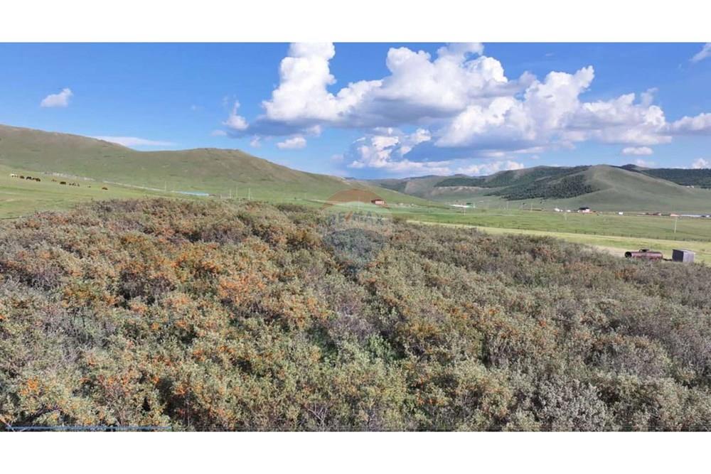 Comercial - Terrenos - Баянчандмань, Монгол - MN - 536648784_1739449046695794_3462910325495510517_n.jpg - 119012370-100