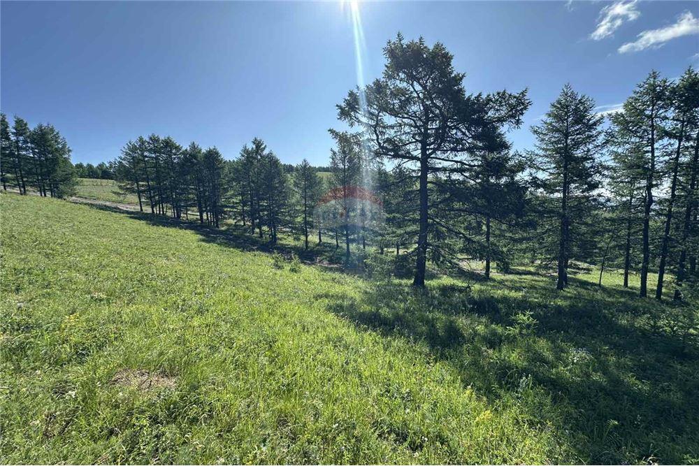 Comercial - Terreno - Сүхбаатар, Монгол - MN - 5 - 119012124-880