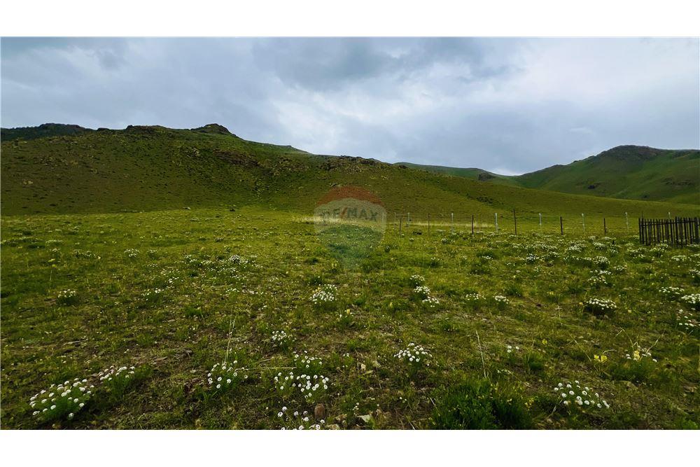 Commercial - Land - Nalaikh, Mongolia - MN - 5 - 119012042-448