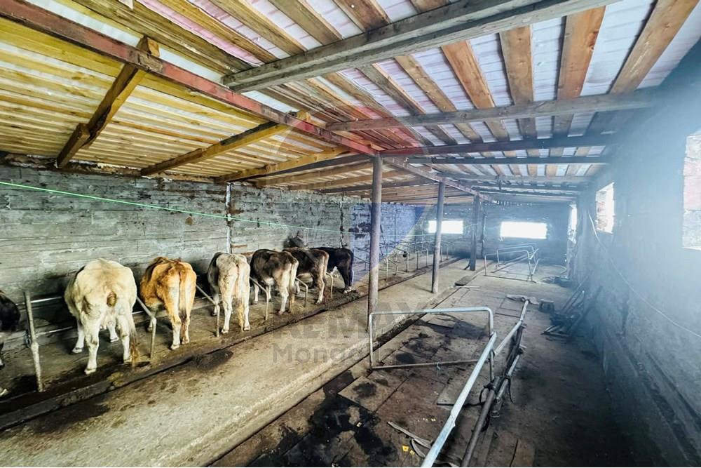 Commercial - Land - Batsumber, Mongolia - MN - 136e6c37-16da-4dc9-840f-a630d4876d3a.jpg - 119012103-668