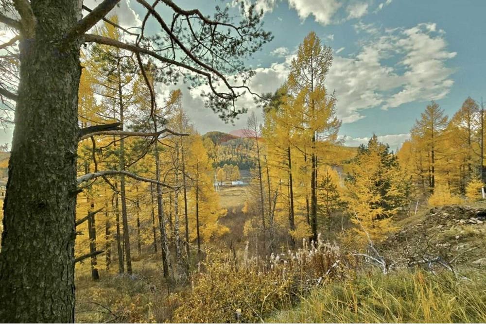 Residential - Two Level House - Sukhbaatar, Mongolia - MN - 59d1457d-bdf4-425c-9f16-4754a30df295.jpg - 119012374-9