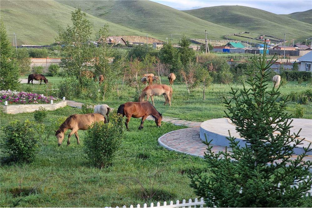 Residencial - Casa en dos niveles - Сонгинохайрхан, Монгол - MN - 7 - 119012421-85