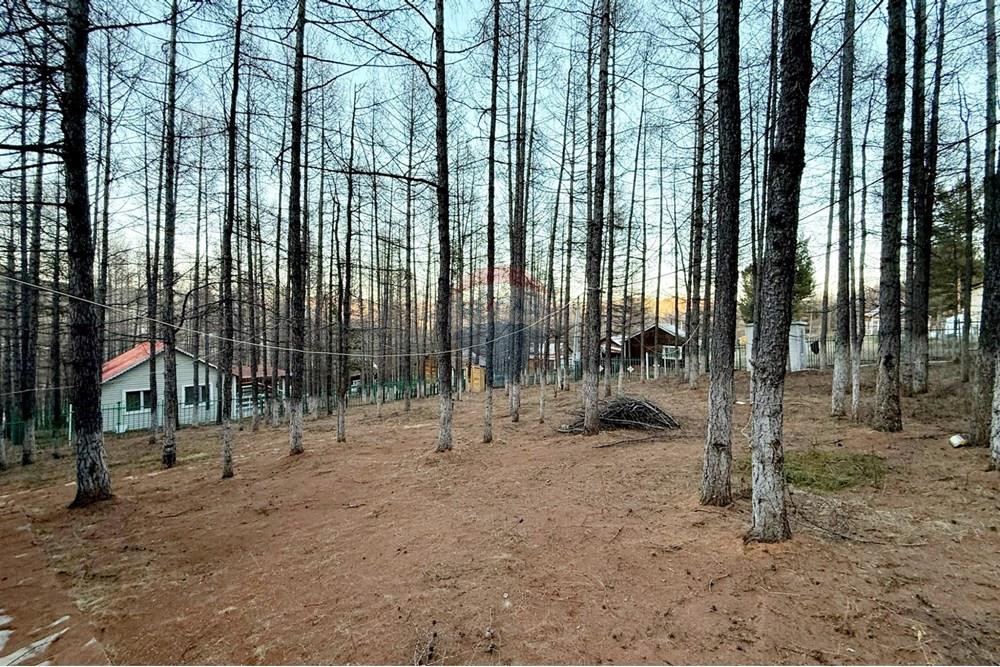 Residential - Bungalow - Chingeltei, Mongolia - MN - 1000010395.jpg - 119012247-92