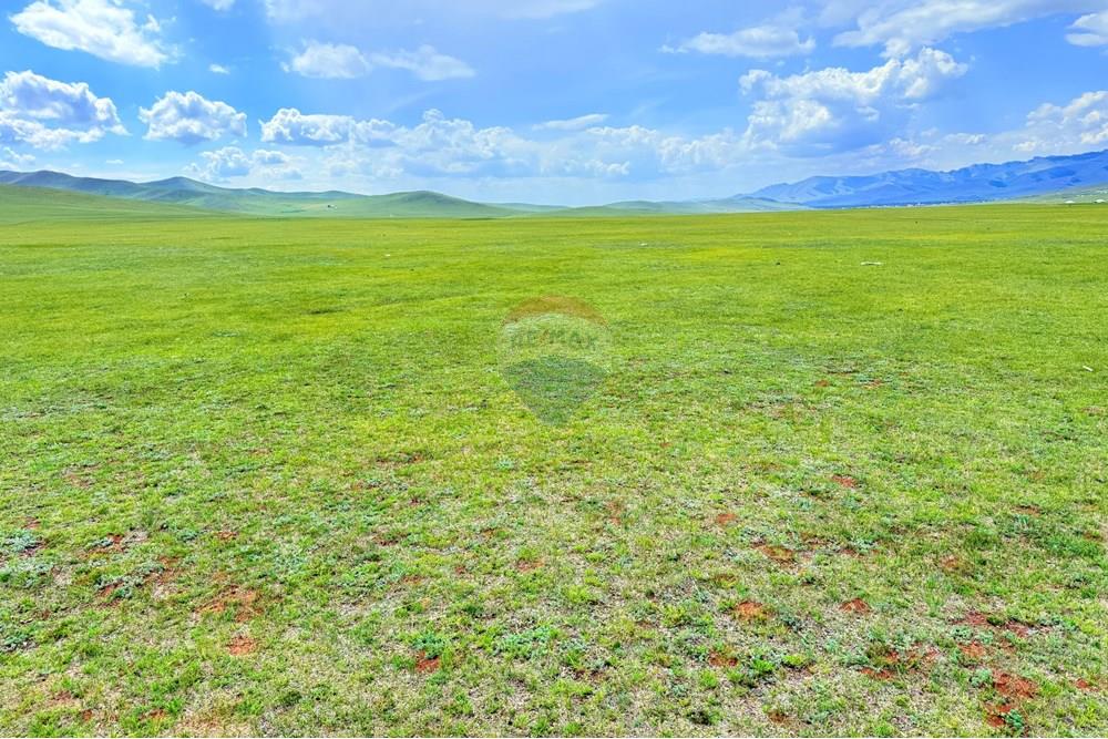 Comercial - Terrenos - Сонгинохайрхан, Монгол - MN - IMG_1219.jpeg - 119012317-77