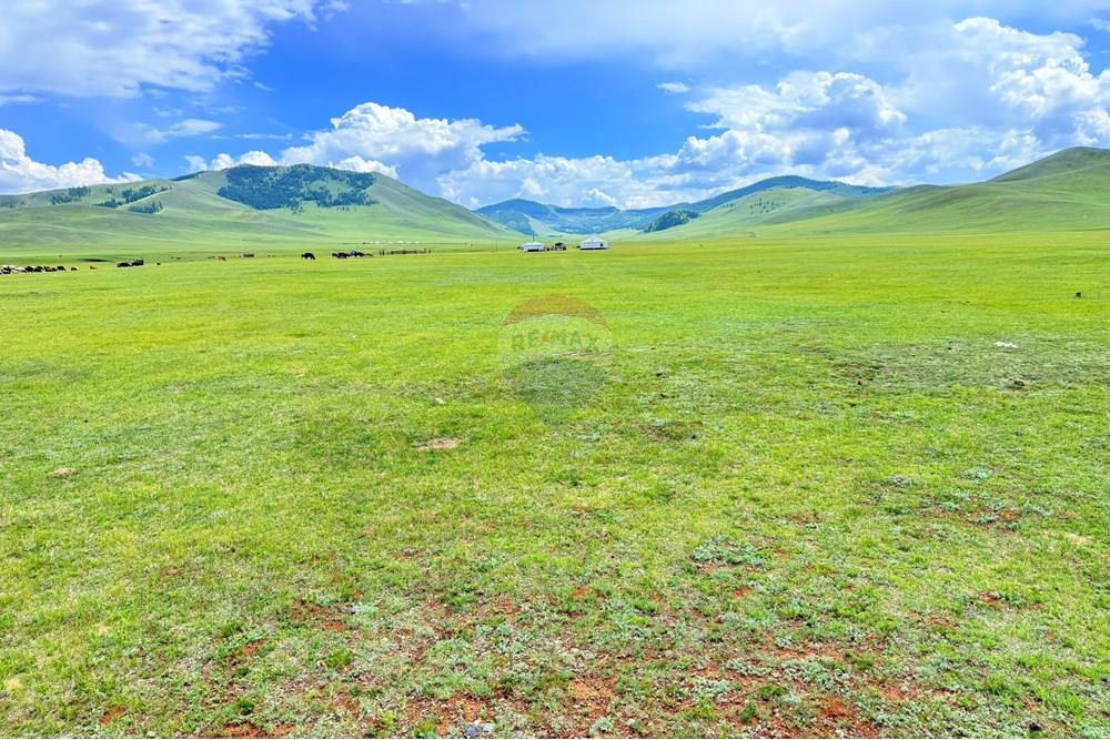 Comercial - Terrenos - Сонгинохайрхан, Монгол - MN - IMG_1222.jpeg - 119012317-77