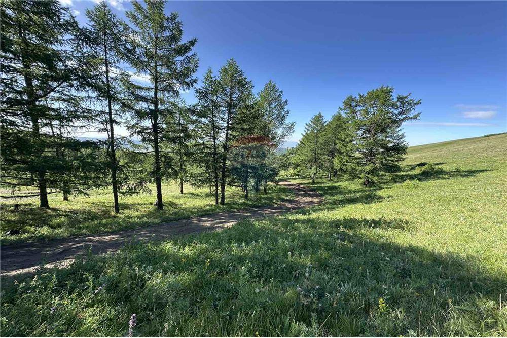 Comercial - Terreno - Сүхбаатар, Монгол - MN - 6 - 119012124-880