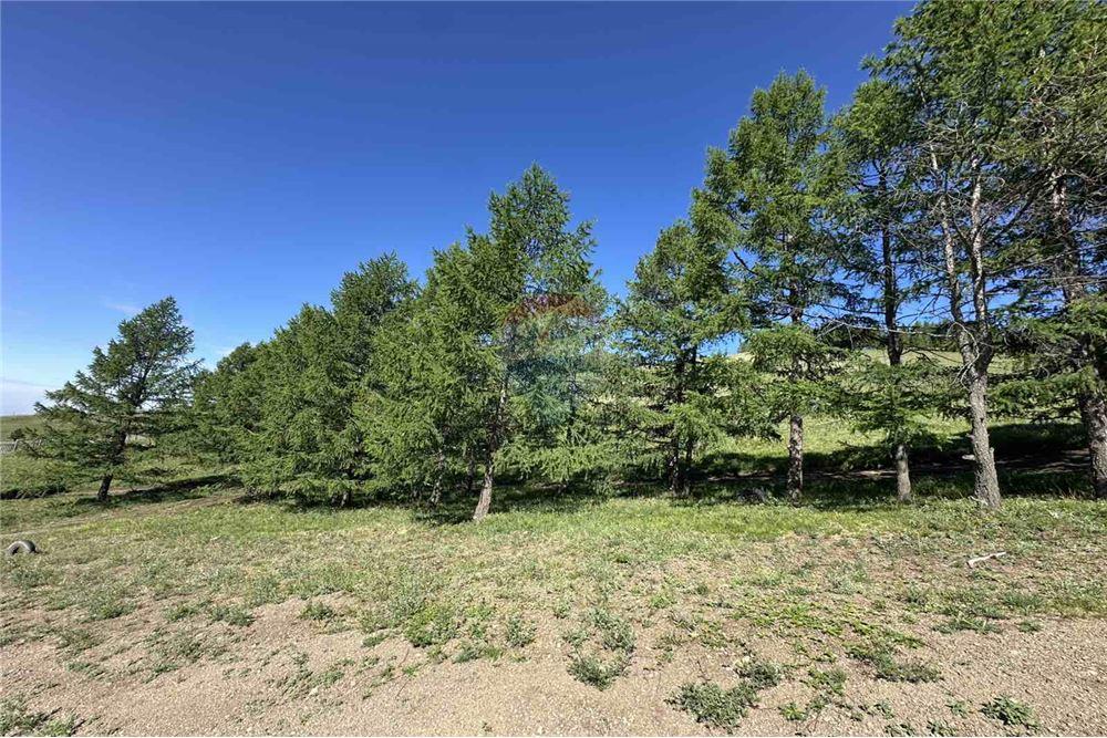 Comercial - Terreno - Сүхбаатар, Монгол - MN - 9 - 119012124-880