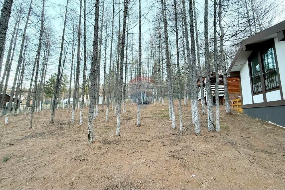 Residential - Bungalow - Chingeltei, Mongolia - MN - 1000010389.jpg - 119012247-92