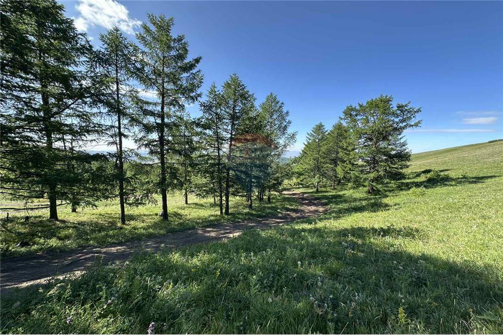 Comercial - Terreno - Сүхбаатар, Монгол - MN - 7 - 119012124-880