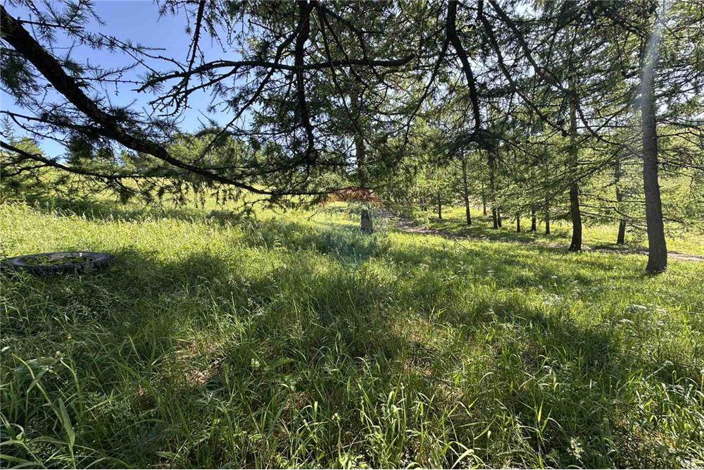 Comercial - Terreno - Сүхбаатар, Монгол - MN - 3 - 119012124-880