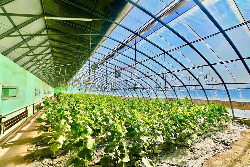 Commercial - Industrial - Bayangol, Mongolia - MN - IMG_7243.jpg - 119012152-350