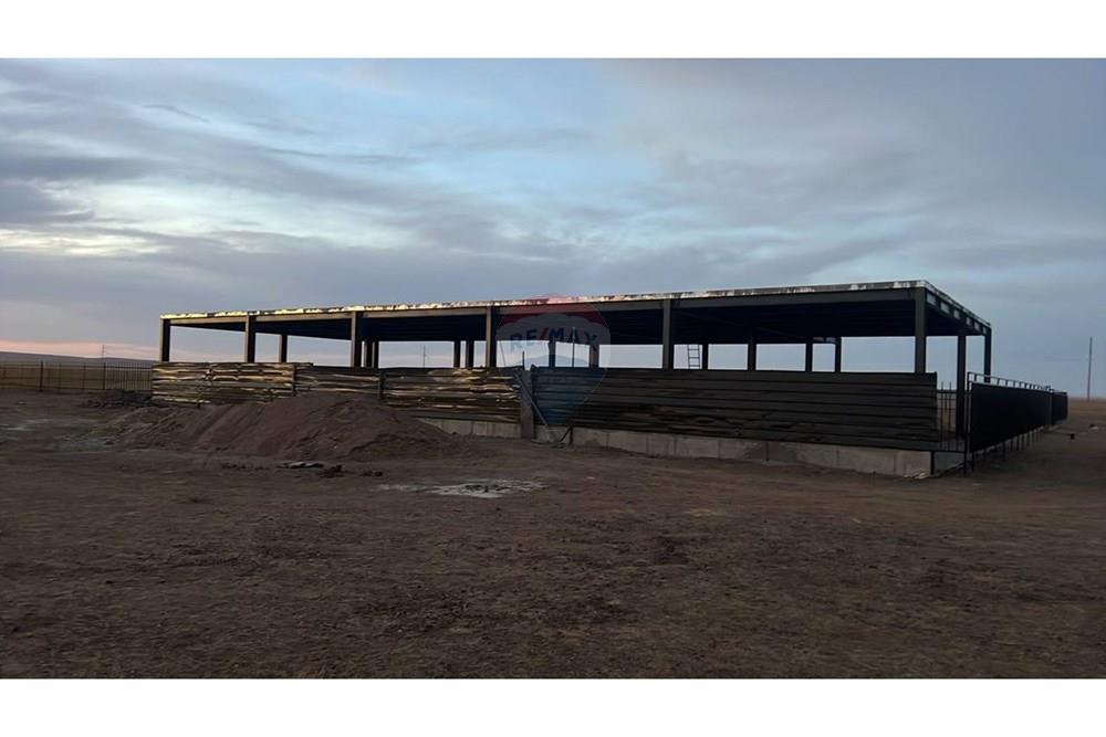 Commercieel - Grond - Даланжаргал, Монгол - MN - photo_2025-10-16 21.58.34.jpeg - 119012377-76