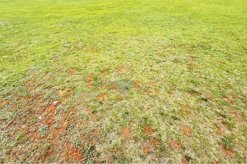 Comercial - Terrenos - Сонгинохайрхан, Монгол - MN - IMG_1217.jpeg - 119012317-77