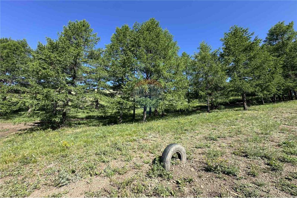 Comercial - Terreno - Сүхбаатар, Монгол - MN - 10 - 119012124-880
