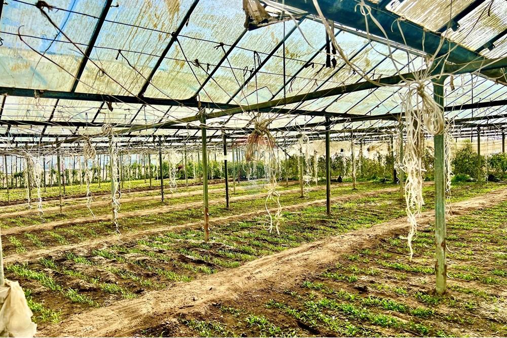 Commercial - Industrial - Bayangol, Mongolia - MN - IMG_7237.jpg - 119012152-350