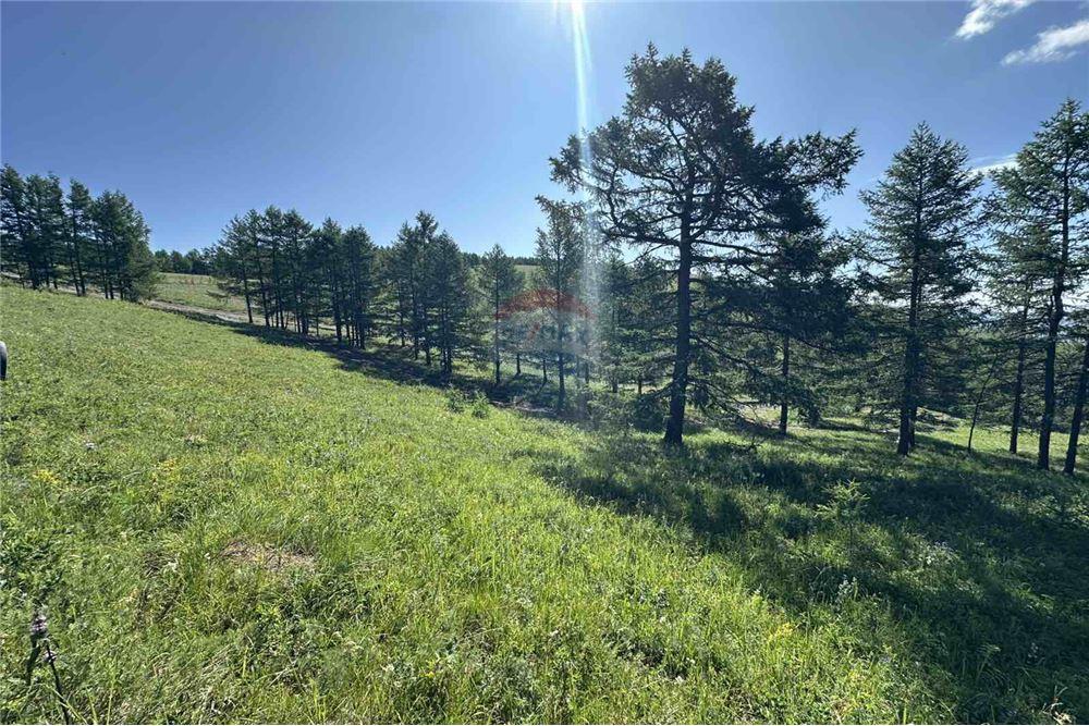 Comercial - Terreno - Сүхбаатар, Монгол - MN - 4 - 119012124-880