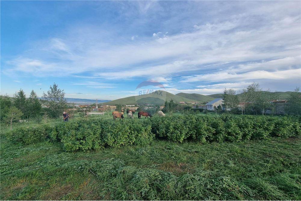 Residencial - Casa en dos niveles - Сонгинохайрхан, Монгол - MN - 4 - 119012421-85