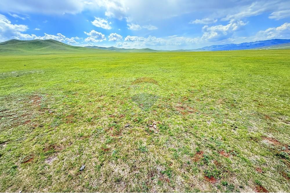 Comercial - Terrenos - Сонгинохайрхан, Монгол - MN - IMG_1210.jpeg - 119012317-77