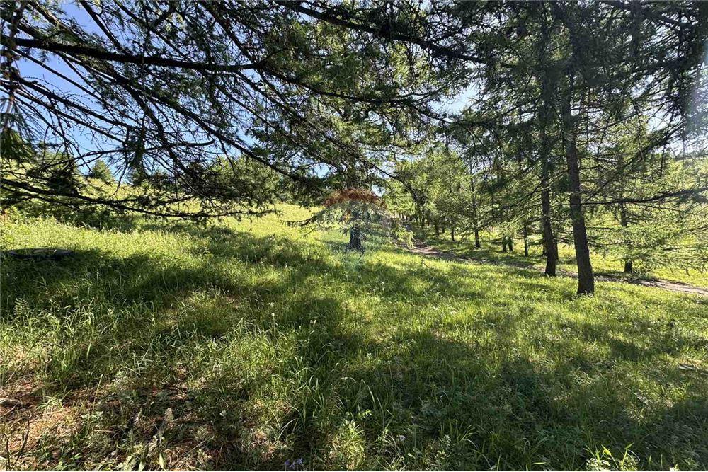 Comercial - Terreno - Сүхбаатар, Монгол - MN - 2 - 119012124-880