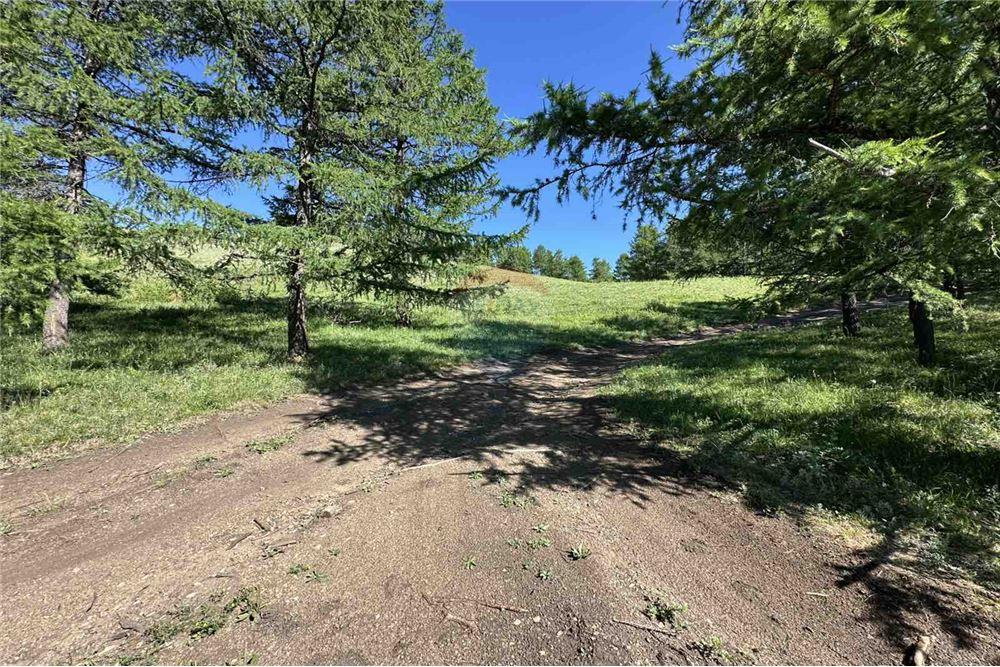 Comercial - Terreno - Сүхбаатар, Монгол - MN - 11 - 119012124-880