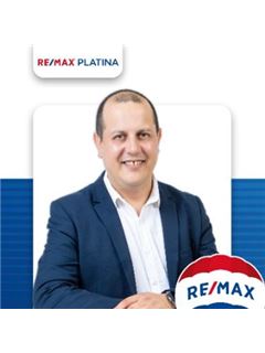 Ivo Pacheco - Platina II