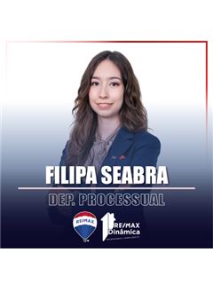 Owner - Filipa Seabra - Dinâmica