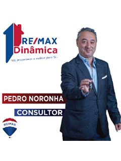 José Noronha - Dinâmica