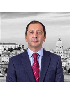 Miguel Lara - Siimgroup