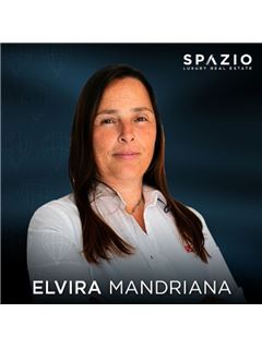 Owner - Elvira Mandriana - Spazio