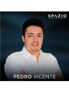 Pedro Vicente - Spazio