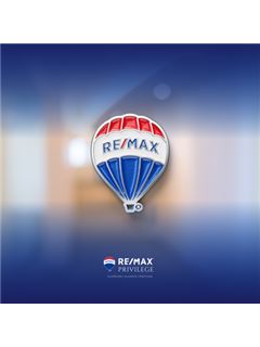 Broker/Owner - Bruno Barreira - Privilege