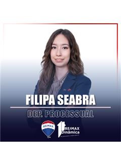 Owner - Filipa Seabra - Dinâmica