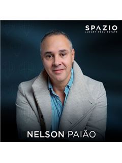 Nelson Paião - Spazio