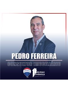 Pedro Ferreira - Dinâmica