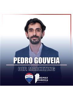 Owner - Pedro Gouveia - Dinâmica