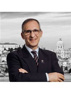 José Segurado - Siimgroup